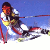 Белорусскую горнолыжницу не допустили к соревнованиям в Сочи