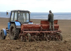 Леонид Заико: Сельское хозяйство Беларуси не спасти