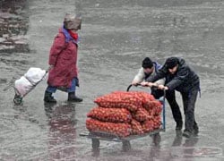 Картошка в Беларуси стала дефицитом