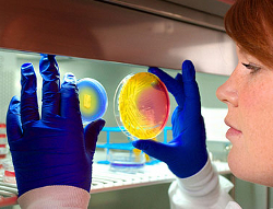 Подрывной прогресс