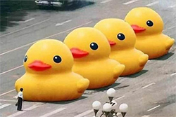 В Китае запретили искать в интернете «больших желтых уток»