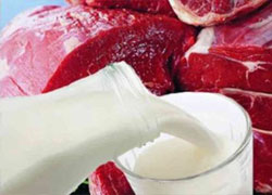 Беларусь гатовая забараніць імпарт мяса і малака з Украіны