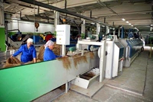 Workers of flax processing plant in Kruhliany try to get salaries through court
