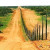 Литва построит 500-километровый забор на границе с Беларусью