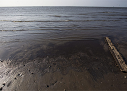 Сто тонн нефти вылилось в море у берегов Кипра