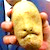 Успехи луканомики: каждому пенсионеру - по картошке