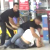 Euroopt store security guards have brawl with customers (Video)