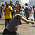 Беспорядки в Египте докатились до курортов (Видео)
