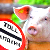 Беларусь ограничила ввоз свинины из Сумской области