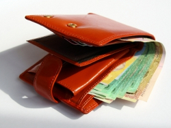 Пятиклассница из Гомеля нашла кошелек с $500 и вернула его хозяйке