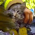 Видео спасения котенка на пожаре покорило интернет