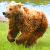 Медведь украл у иркутских дачников борщ