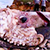 На пляжы ў Іспаніі знайшлі дзесяціметровага кальмара (Відэа)