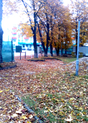 Жители Полоцка отстояли привокзальный парк