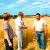 60% сельхозпредприятий Беларуси работают с убытками
