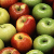 Лукашенко запретил импорт яблок