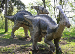 Американский школьник нашел скелет динозавра