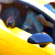 Медведь прокатился по улицам Лос-Анжелеса на Lamborgini (Видео)