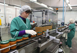 Barysau canning plant’s workers have unpaid leave