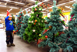 Greenpeace не раіць купляць на Новы год штучныя елкі