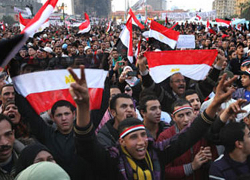 Власти Египта объявили «Братьев-мусульман» террористической организацией
