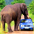 Разъяренный слон перевернул автомобиль с туристами в ЮАР (Видео)