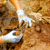 Археологи нашли под Минском поселение XI века