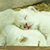 В зоопарке под Лодзью родились три белых львенка (Видео)