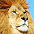 Посетитель зоопарка в Барселоне прыгнул в вольер ко львам