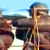 Бойцы «Беркута» стреляют по демонстрантам с крыш (Видео)