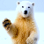 Белый медведь позирует для камеры Google Street View (Видео)