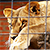 Укушенная львицей работница Гродненского зоопарка была пьяна