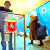 Сепаратисты насчитали 96% «проголосовавших» за Россию крымчан