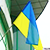 Центр Донецка стал сине-желтым (Видео)