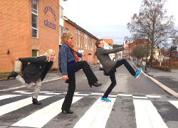 На улице города в Норвегии появился пешеходный переход для дураков