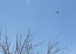 Над Донецким горсоветом кружит военный истребитель