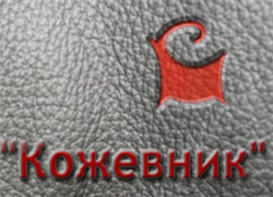 Mahileu "Kozhevnik" declared bankrupt
