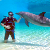 Боевые дельфины из США примут участие в учениях в Черном море