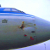 Самолет Анталья-Минск в воздухе столкнулся с гусем