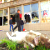 Мародеры грабят магазины Мариуполя