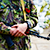 Боевики штурмуют управление МВД в Донецке: есть погибший