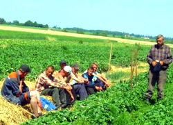 Белорусы о беженцах из Украины: Пусть колхоз наш поднимают, работать некому