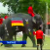 В Таиланде слоны сыграли с людьми в футбол (Видео)