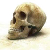 Канадские ученые нашли аномалию в черепе предков россиян