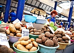 Беларусь ограничивает ввоз картошки из Украины