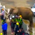 Сярод гледачоў велагонкі «Тур дэ Франс» апынуўся слон (Відэа)