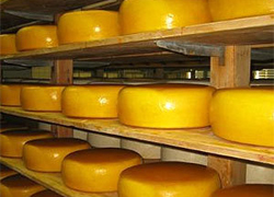 Беларусь паставіць у Расею 70 тысяч тон сыру