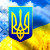 ЦИК Украины объявил официальные итоги выборов по партийным спискам