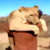Благодарная львица обняла своего спасителя (Видео)