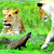 Смелый мангуст из Кении отбил нападение четырех львов